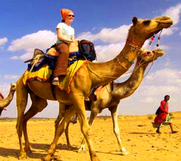 Royal Rajasthan Tours